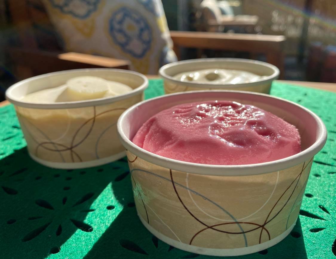 Sakekasu Ice cream – IZUMI Sake Brewery Online Shop