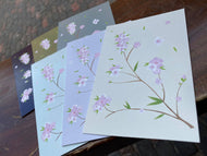 Message Cards (Customization Available)